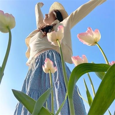 名媛双胞案海报