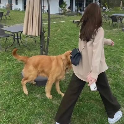 认贼作爸妈海报