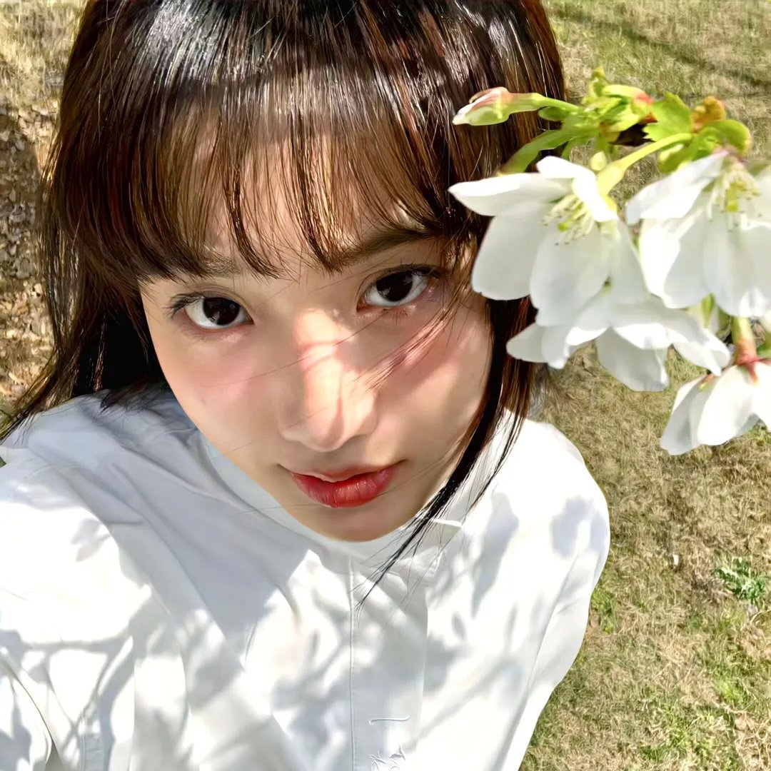 续韩国泪的小花海报