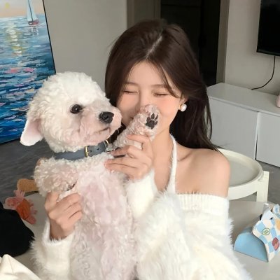 暗影王冠海报
